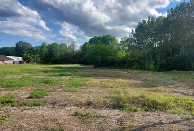 Teren Cerbu - Albota - cu PROIECT CASA si AVIZE - 6