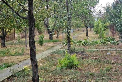 Casa indviduala cu 4 camere si teren generos - Jilava, Str. Garii - 9