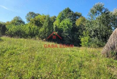 Teren intravilan in Poiana Campina 4285 mp parcelabil 11,6e - 8