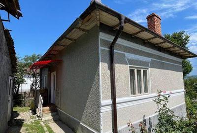 Casa Mihaesti 5 camere | 700MP Teren - 6