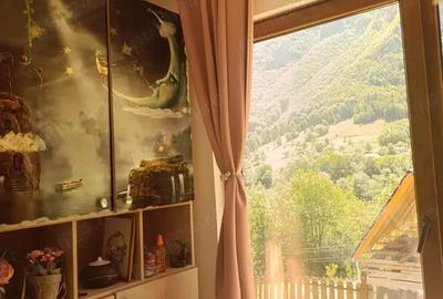 Casă cu 3 camere cu Teren 400 Mp în Incești (Avram Iancu) - 2