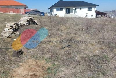 Teren Construcții intravilan de 500 mp, în Chinteni - 4