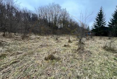 Teren de 6500 mp, în Morărești - 2