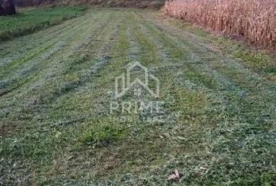 Teren de 708 mp, în Cricău - 2