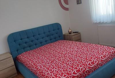 Apartament cu 2 camere semidecomandat în Central - 5