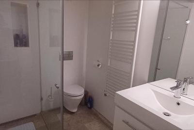 Apartament 3 camere  ultracentral - 11