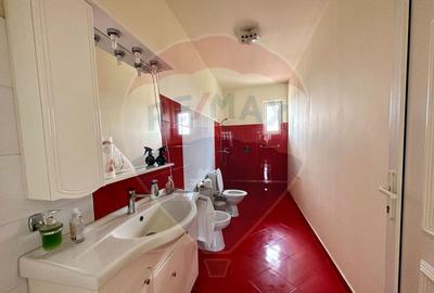 Oportunitate vie 54 ha la DN E85 - 13