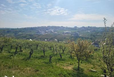 Teren de 3405 mp, în Spitalul Județean - 5