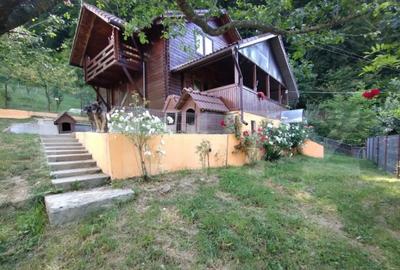 Casă cu 3 camere cu Teren 25000 Mp în Năsăud - 8