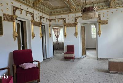 Casă cu 10 camere cu Teren 1002 Mp în Bariera Vâlcii - 4
