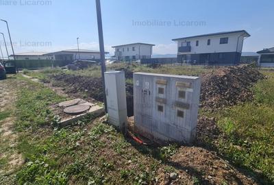 DIFERIT Haus ,Cristian,500 mp cu autorizatie,CASA IN CURS DE EXECUTIE - 5