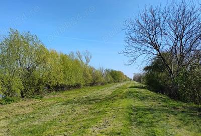 Casă cu 3 camere cu Teren 1000 Mp în Utvin - 7