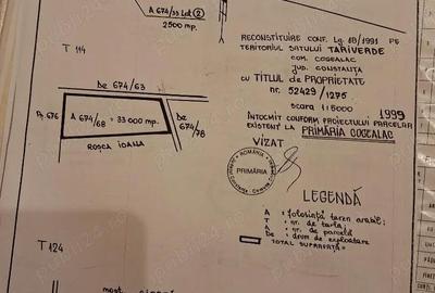 Teren de 45500 mp, în Cogealac - 2
