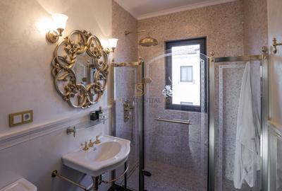 Apartament exclusivist tip duplex, 7 camere + curte, zona Parcul Carol - 25