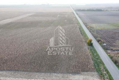 Teren 50.000 mp, industrial, in vecinatatea FRIGOGLASS- SAG. - 1