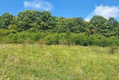 Teren in Chinteni langa padure 1425mp front 70ml - 6