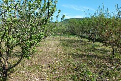 Casă cu 2 camere cu Teren 1900 Mp în Cornești - 2