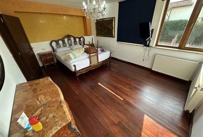 Proprietate cu piscina Dumbravita - 33