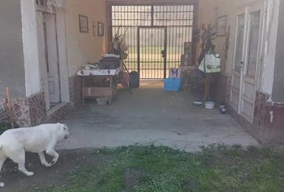 Vand casa - 3