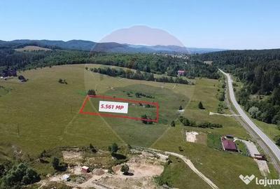 Teren de 5561 mp, în Paltin - 13