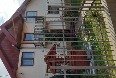Vind casa in Daia - 4