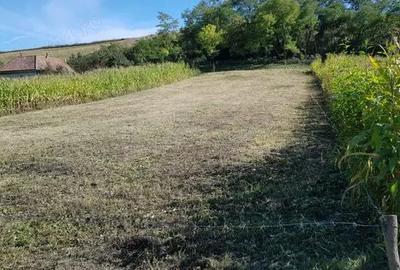 Teren de 2900 mp, în Căianu - 5