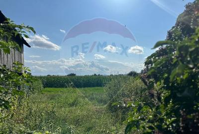 Teren intravilan 3.765 mp cu casa - Bodesti de Jos - 2