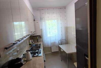 Apartament cu 2 camere decomandat în Bucium - 1