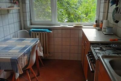 Dristor, 2 camere pet friendly - 3
