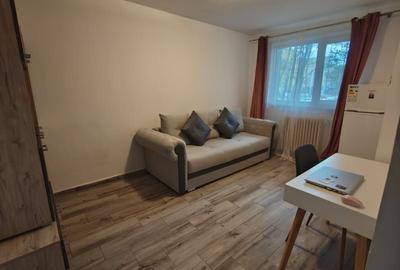 Garsoniera Podu Ros - Aleea Rozelor - 2