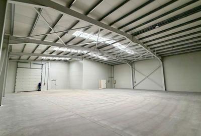 Spațiu comercial, de 600 mp, în Rudeni - 2