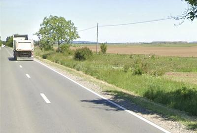 Teren de 3000 mp, în Sălard - 5