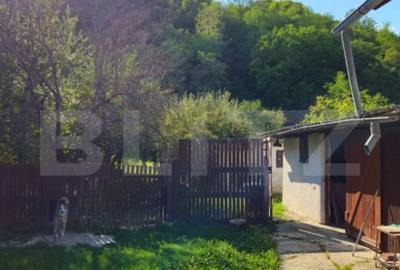 Casă cu 4 camere cu Teren 980 Mp în Brănești - 5