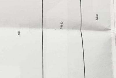 Teren de 1000 mp, în Răchiți - 1