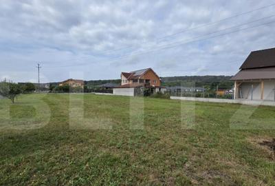 Teren intravilan 15 ari, zona Viile cu Pomi, 76000 euro - 2