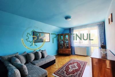 Casă Turnișor – 280 mp utili, teren 515 mp, curte și grădină pe rod - 9