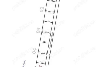 Lot de casa langa DN1, Tancabe?ti Snagov, intrarea Bucharest Golf Club - 5
