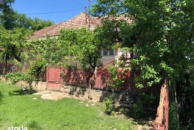 Casă cu 3 camere semidecomandat cu Teren 1350 Mp în Râciu - 16