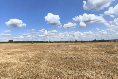 TEREN COCOSESESTI//INTRAVILAN - 4