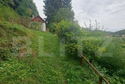 Casa de vanzare Colonia 1 Mai 75.000 EURO - 9