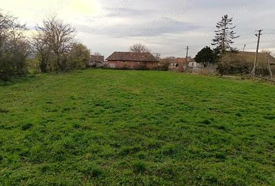 Casă cu 2 camere în Gura Arieșului - 4