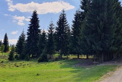 Teren Construcții de 1350 mp, în Beliș - 1