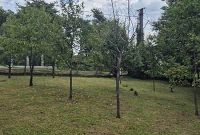 Somcuta Mare, casa 9 ari teren - 2