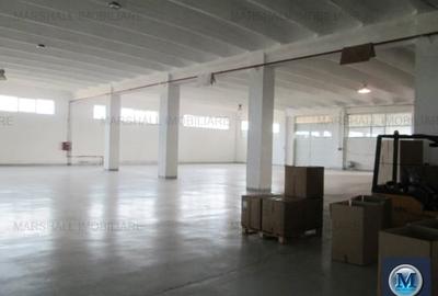 Spatiu industrial de inchiriat in Filipestii de Targ, 2500 mp #12438 - 3