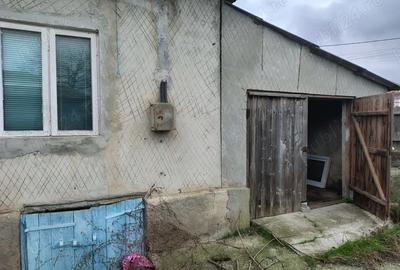 Casa Batraneasca in Comuna Stejaru, Tulcea. 2500mp, 5 camere, Urgent - 3