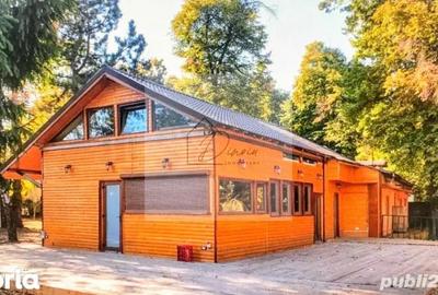 Spațiu comercial, de 120 mp, în Kiseleff - 1