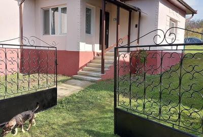 Casă cu 2 camere cu Teren 2110 Mp în Chilioara - 8