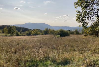 Spațiu comercial, în Hărțăgani - 4