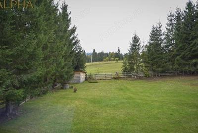 Casă cu Teren 3450 Mp în Colibița - 2