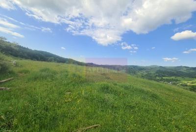 Teren de 9037 mp, în Plaiul Tălii